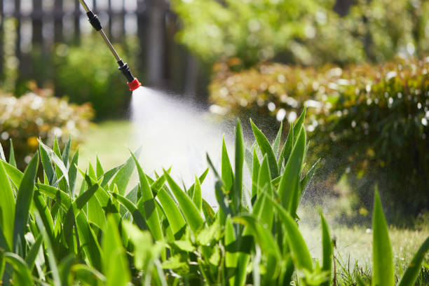 24/7 Emergency Mosquito Control experts in Galesville, WI